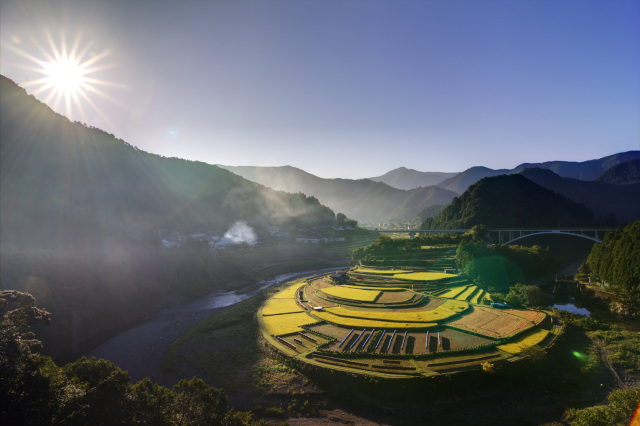 Sunrise over terraced fields in a Wakayama mountain valley, Japan