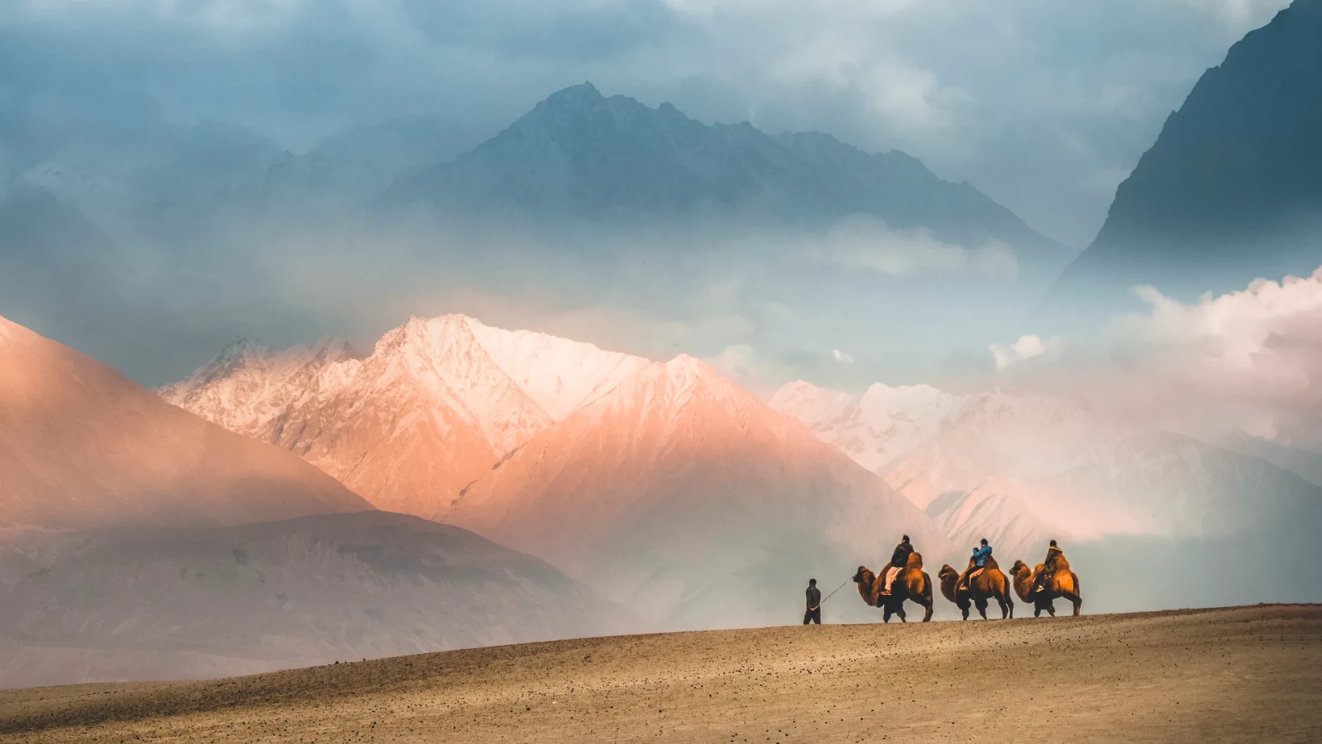 A green apricot and sea buckthorn valley below ochre mountains in Ladakh, India