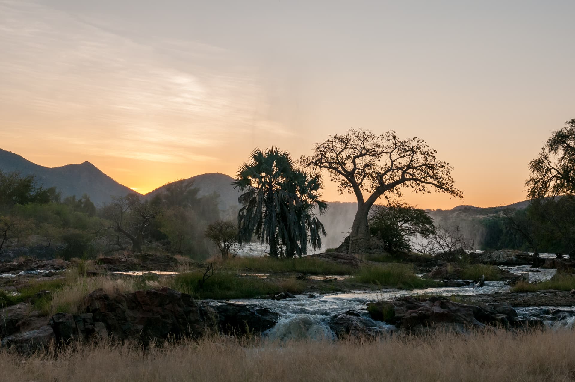 A botanical landscape at sunset — river, baobab tree and palms beneath distant mountains