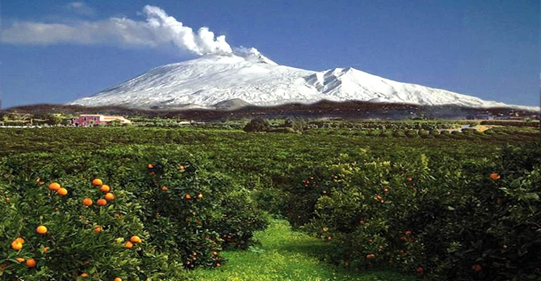 Orange groves below the snow-capped slopes of Mount Etna in Sicily