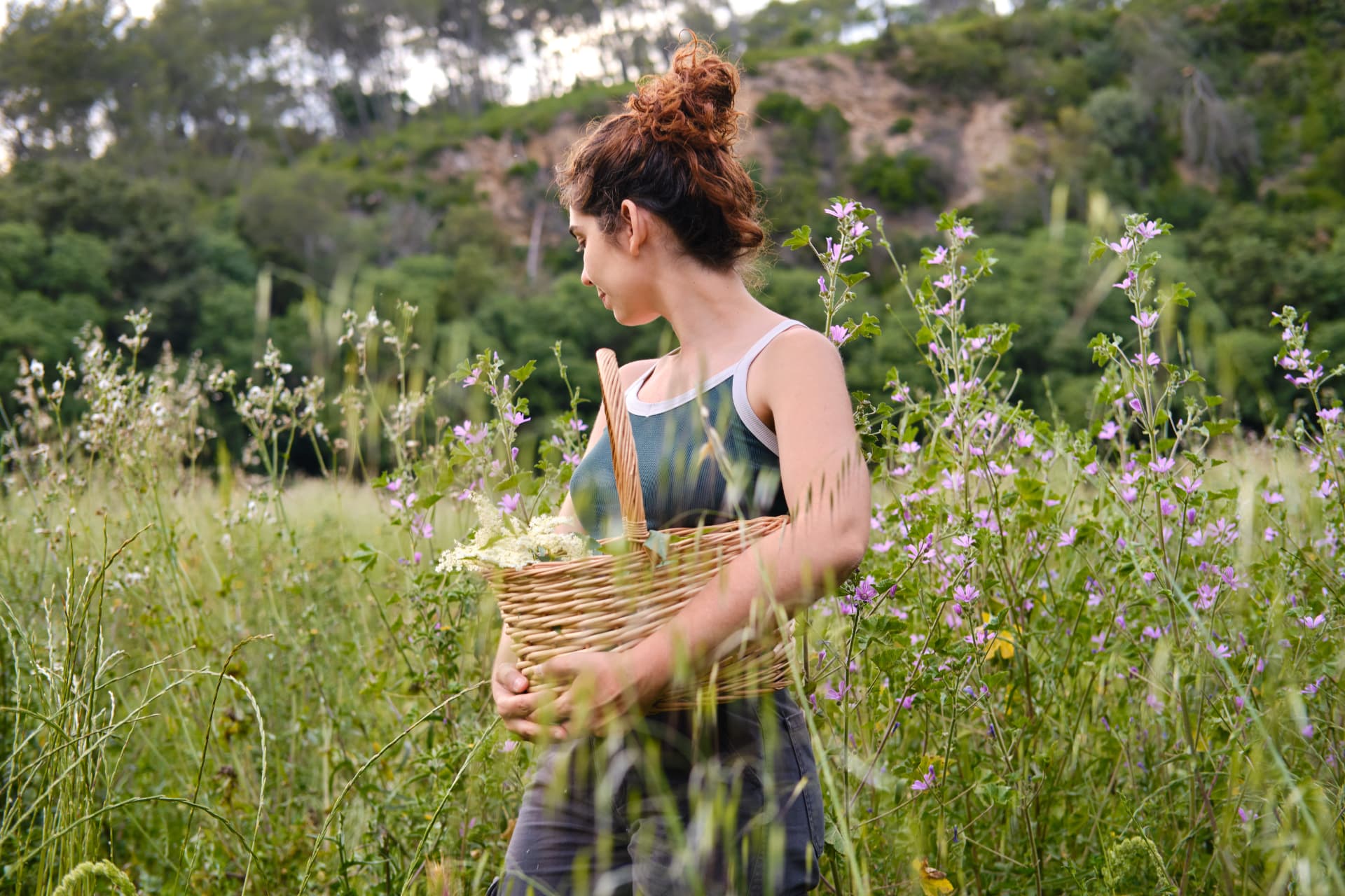 A forager gathering elderflower by hand in a wildflower meadow at dawn