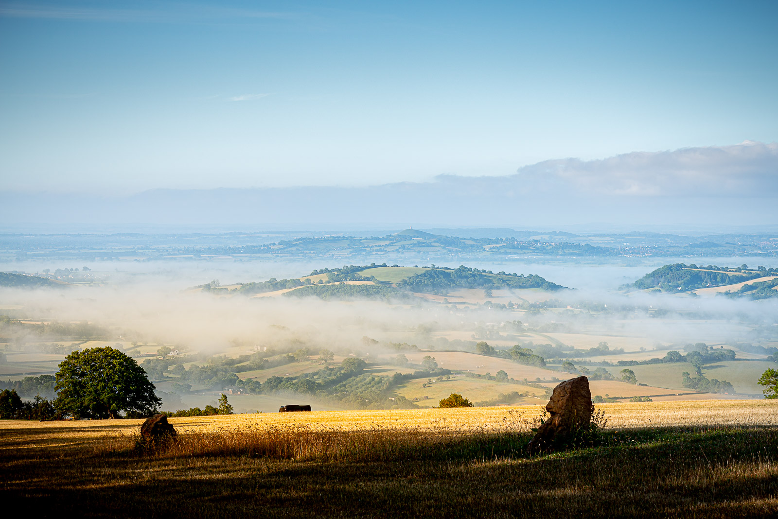 A quiet landscape at the end of the day